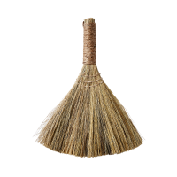 Borste Broom